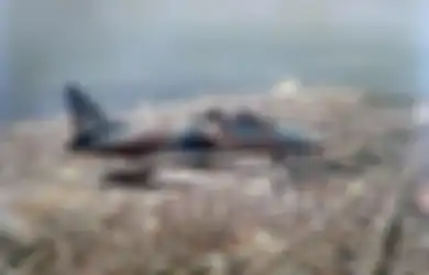 Dibenci Warganya Sendiri, Ternyata Indonesia Kembali Belanja Senjata dari Israel, Dulu Soeharto Sampai Kirim Misi Rahasia ke Negara Yahudi Itu 