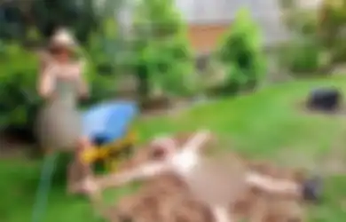 Viral karena Lupa Menekan Tombol Privasi, Foto Pasangan Ini telah Terkirim ke 'Hari Berkebun Tanpa Busana'