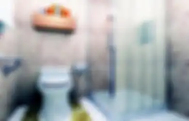 Toilet Bau Saat Musim Hujan? Inilah Cara Cerdas Menghilangkan!