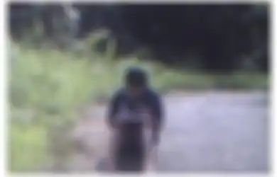 Demi Bisa Belajar Online, Pelajar Ini Rela Naik ke Atas Bukit dan Panas-panasan di Pinggir Jalan