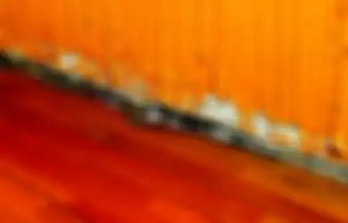 Alasan Utama Rayap Sudah Diberantas tapi Datang Lagi Merusak Perabotmu