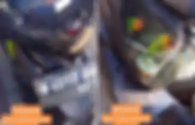 Banjir Kecaman, Viral Sepeda Motor Dimodif Jadi Sangkar Burung