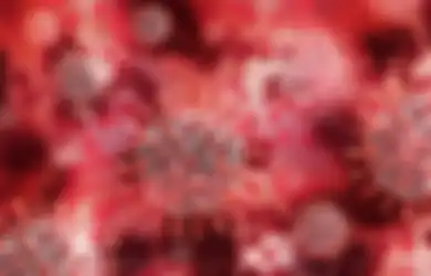 10 Provinsi Indonesia yang Paling Kecil Jumlah Kasus Virus Corona!