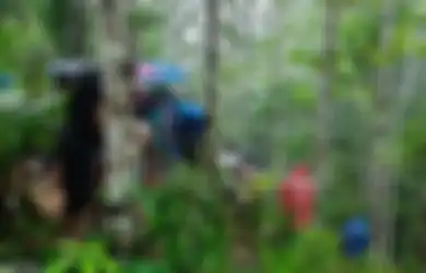 Hilang Misterius Selama 2 Bulan, Apoteker Asal Tomohon Ternyata Alami Kecelakaan Mobil, Baru Terkuak Setelah Ada Kejadian Serupa di Lokasi yang Sama