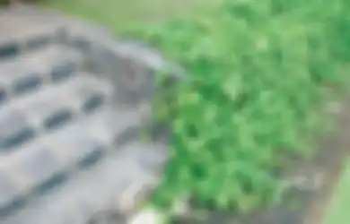 Ketahui Ketinggian, Lebar dan Jumlah Anak Tangga Taman yang Ideal!