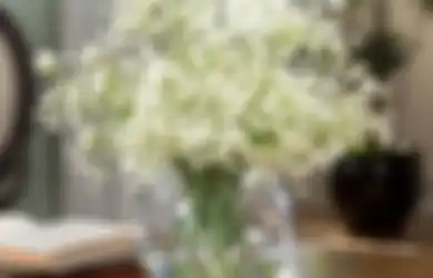 Jangan Asal! Bukannya Romantis, 5 Bunga Ini Justru Maknanya Suram!