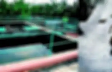 Dua Jenis Air Limbah Rumah Tangga, Cara Kelola agar Tak Mencemari Lingkungan