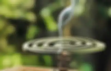 Siapa Sangka Bisa Picu Leukimia, Terungkap Bahaya Menggunakan Obat Nyamuk yang Belum Diketahui!