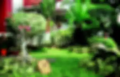 Mengenal Lima Gaya Taman yang Ada di Dunia dan Karakter Tiap Jenisnya