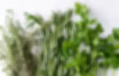Makan 7 Rempah-rempah Ini Tiap Hari Untuk Detoks & Perpanjang Usia!