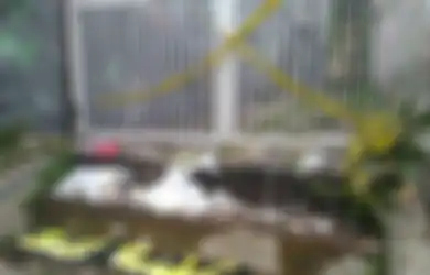 Sudah 1,5 Tahun, Kasus Siswi SMK yang Tewas Ditusuk Pisau di Dada Belum Juga Terungkap, Tak Adanya Saksi Menyulitkan Polisi, Kapolresta Bogor: Harusnya Setiap Kejadian Ada Jejak