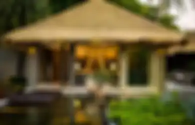 Jatuh Cinta Ijuk dan Rumbia tapi Rawan Bocor? Yuk Kenali Imitasinya