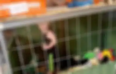 Miris, Bocah Ini Dikurung Orangtuanya ke dalam Kandang Bareng Anjing