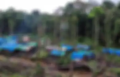 Bikin Kaget! Warga di Daerah Ini Biasa Beli Mi Instan dengan Emas, Ternyata Begini Cerita Sebenarnya 