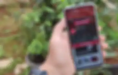 Cara Menggunakan Split Screen Agar Semakin Produktif di Oppo A92