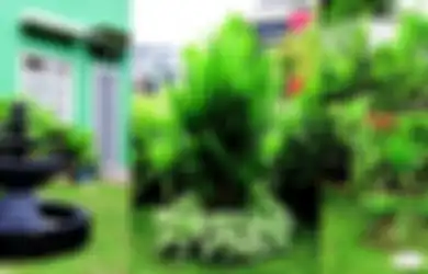 Trik Mendesain Taman yang Luas di Hoek, Beri Kejutan Bertema di Beberapa Area