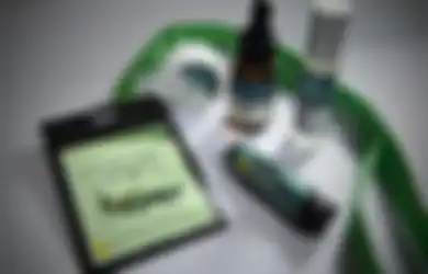 Akan Dibagikan Pada Masyarakat Luas, Kementan Jelaskan Khasiat Eucalyptus Sebagai Bahan Baku Kalung Antivirus Corona, Syahrul Yasin Limpo: Tidak Ada Alasan untuk Takut