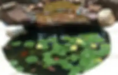 Saat Memiliki Kolam Taman, Ada 3 Aturan Dalam Fengshui Yang Harus Ditaati, Ini Dia