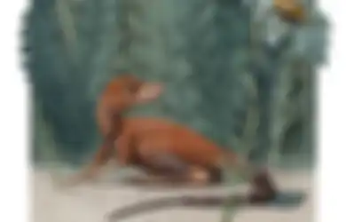Siapa Sangka, Kalo Nenek Moyang Dinosaurus Ternyata Seukuran Cangkir Kopi