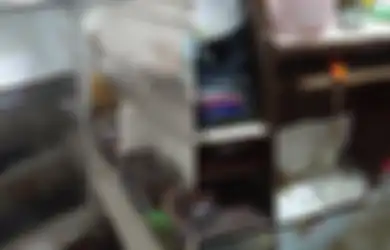 Dapur Penuh Kotoran, Almari Penuh Tikus Mondok, Gadis Ini Kaget Dapati Kontrakannya Berubah Menjijikkan Usai Disewa Wanita Cantik Jelita, Lihat Penampakannya
