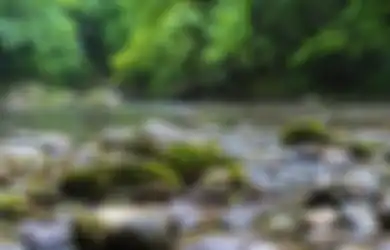 Nggak Ada Nalarnya Sama Sekali, Wanita Ini Amplas Wajah Anaknya Pakai Batu Kali Biar Bersih dan Tampan nan Paripurna, Akui Ogah Putranya Diejek Lagi Gara-gara Dianggap Jelek