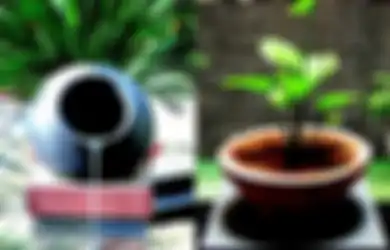 Peduli Bumi, Ini 4 Cara Bikin Resapan Air Multifungsi di Rumah