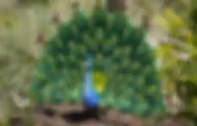 Bukan Asli, Hewan-hewan di Kebun Binatang Ini Terbuat dari LEGO