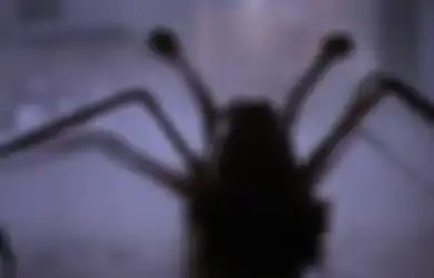 Mirip Mahluk di Film 'The Thing', Hewan Ini Serupa Gabungan Laba-Laba dan Anjing