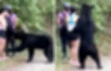 Nekat Ajak Beruang Liar Selfie, Kelompok Pengunjung Ini Alami Hal Tak Terduga