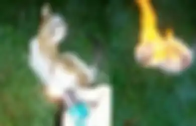 Nuraninya Udah Hancur, Viral Video Sadis Kucing Dibakar Hidup-hidup, Organisasi Penyayang Binatang Siap Berikan Hadiah Rp 34 Juta untuk Buru Pelaku
