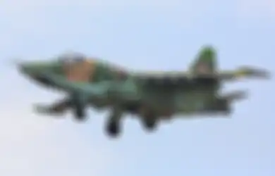 Gara-gara Tragedi Langit Bawean, Indonesia Tak Sungkan Lakukan Aksi 'Wake UP Call Amerika', Mantan KSAU Bocorkan Alasan TNI Isi Arsenal Persenjataan Rusia