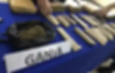 Heboh Penetapan Ganja Sebagai Tanaman Binaan Oleh Kementan, Aturannya Kini Dicabut Lagi