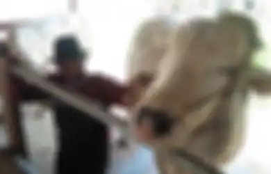 Waspada! Begini 4 Cara Mencegah Penularan Antraks Pada Manusia 