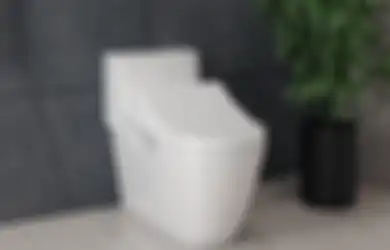 Bahaya! Ini Alasan Kita Wajib Tutup Penutup Kloset Saat Pencet Tombol Flush!