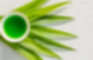 Tak Hanya untuk Masak-masak, Daun Pandan hingga Lada Kering Bisa Usir Serangga Lho, Begini Caranya!