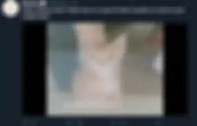 Anak Kucing Ini Sering Nyuri Uang di Bar, Udah Kepergok CCTV Tetep Nggak Kapok