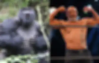 Ganas Nggak Karuan, Hasrat Berantemnya Menggebu-gebu, Mike Tyson Sampai Sogok Pegawai Kebun Binatang Demi Penuhi Nafsu Berduel Lawan Gorilla