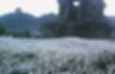 Embun Es Muncul di Dieng Secara Mengejutkan, Ternyata Ini Penyebabnya!