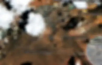 Setelah China Kirim Pesawat Rumah Sakit, Kini India Gantian Perkuat Militer di Perbatasan, 12 Tank T-9 dan 4.000 Prajurit Disiagakan, Perang Lagi?