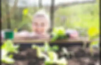 Tips Atasi Stres Buat Zodiak Aries Hingga Virgo. Taurus dengan Berkebun!