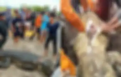 Ajak Sekeluarga Naik Perahu ke Kebun Sawit, Ponidi Tiba-tiba Diterkam Buaya hingga Diseret ke Dalam Sungai, Istri dan Anak Nangis Histeris Saksiskan Detik-detik Tragedinya