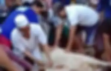 Bak Petir di Siang Bolong, Guru Ngaji di Banten Ini Tiba-tiba Meninggal Dunia Saat Tengah Menyembelih Sapi, Tersungkur Sambil Membawa Golok, Begini Kronologinya