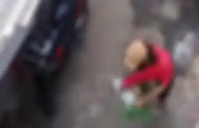 Jokowi Pernah Turun Tangan, Pengamen Topeng Monyet Kini Kembali Tertangkap Kamera Siksa Kera, Ngakunya ke Kasatpol PP Sedang Lakukan Pembinaan