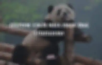 Sering Disepelekan, Ini Kebiasaan yang Bikin Kita Punya Mata Panda!