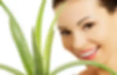 Cara Membuat Masker Lidah Buaya untuk Mencerahkan Kulit Wajah