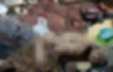 Tubuhnya Terbungkus Sarung Lusuh , Nenek 76 Tahun Ini Ditemukan Tergeletak Lemah di Gubuk Reotnya, Ditemani Ayam dan Kucing Dalam Kondisi Memprihatinkannya