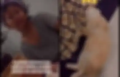PR 3 Halamannya Disobek 'Kocheng Oren', Bocah Ini Meracau di depan Kucingnya yang Santai Rebahan Tanpa Dosa, Sang Ibu: Gimana Mau Menolong?