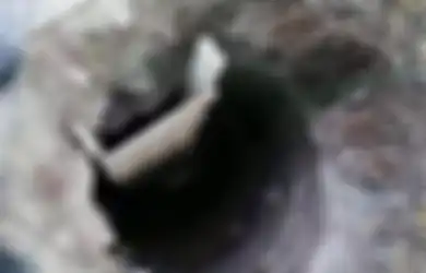 Kelewat Nekat, Emak-emak Ini Gali Tanah Sejauh 10 Meter untuk Bebaskan Anak yang Berada di Dalam Penjara