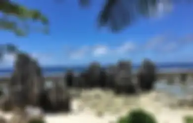 Dulu Leha-leha Jadi Negara Terkaya, Kini Nauru Harus Ngemis-ngemis Bantuan Australia Tiap Bulan