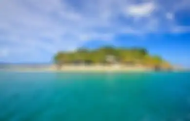 Pukulan Telak Silvany Austin di Sidang Umum PBB Berbuntut Panjang, Media Sosial Vanuatu Panen Komentar Netizen RI, Manajer Komunikasi Yakini Jadi Target Perilaku Terkoordinasi